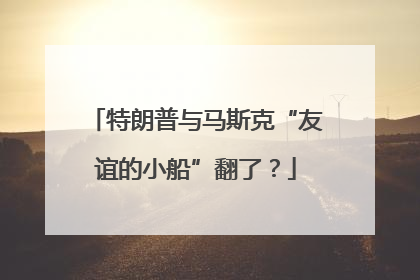 特朗普与马斯克“友谊的小船”翻了？